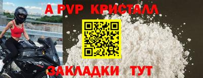 крисы Коммунар