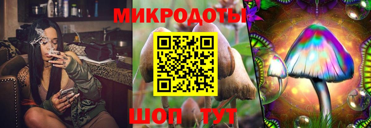 Галлюциногенные грибы Psilocybine cubensis  Вход с VPN  Галлюциногенные грибы прущие грибы  Кандалакша 